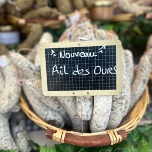 Ail des ours